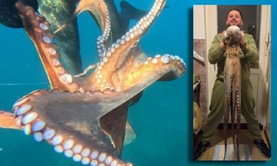 Splićanin uhvatio krakena kod Hvara: "Borba je trajala 20 minuta!"