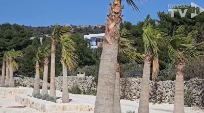 CIJENA BAHATOSTI Za uništeno more u Sevidu prijete kazne do 130.000 eura, ali institucije i dalje šute