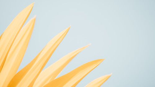 Gaspar u Studiu 4 HRT-a: "Otkrili smo kriminalnu hobotnicu krivolovaca i luksuznih restorana"