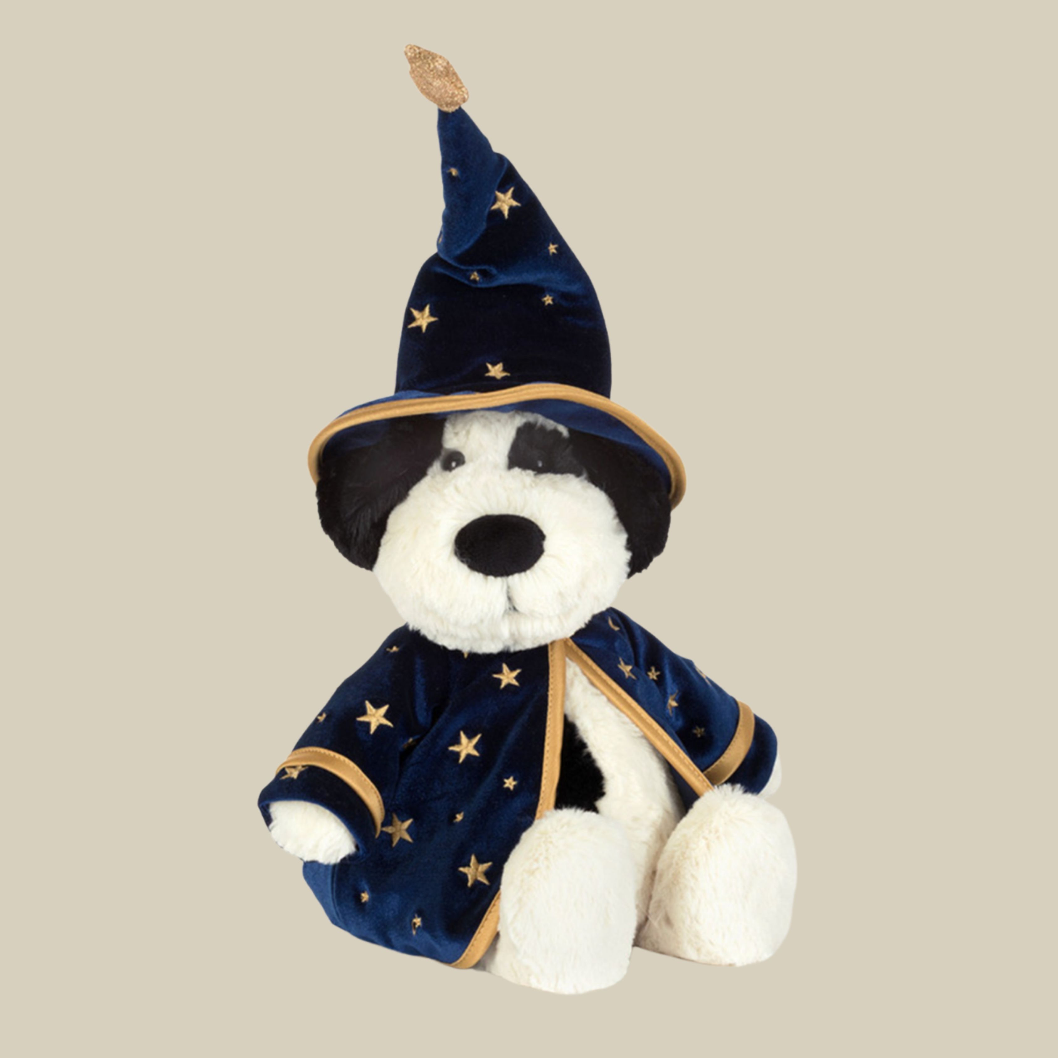 Rufferty Puppy 'Wizard'