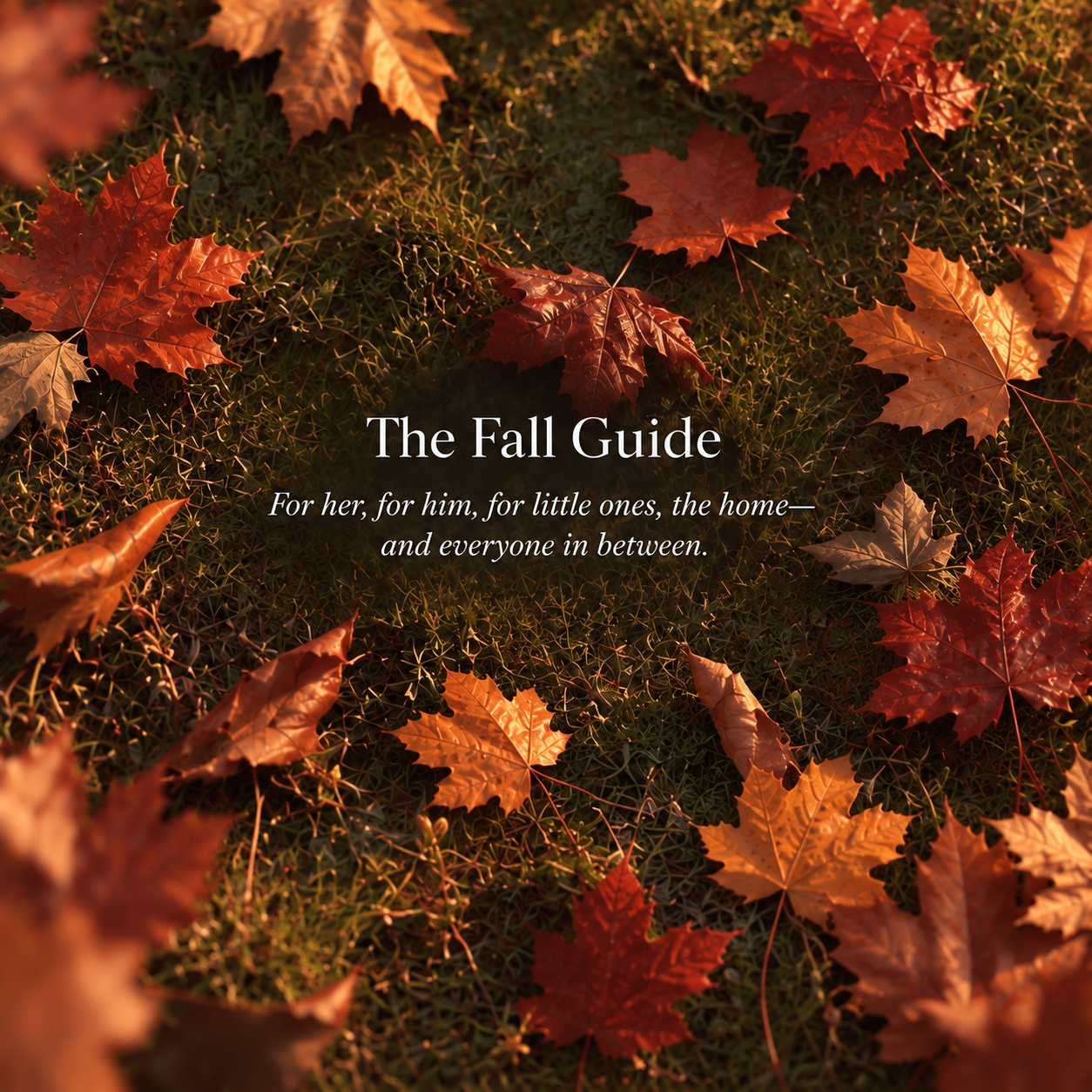 The Fall Guide
