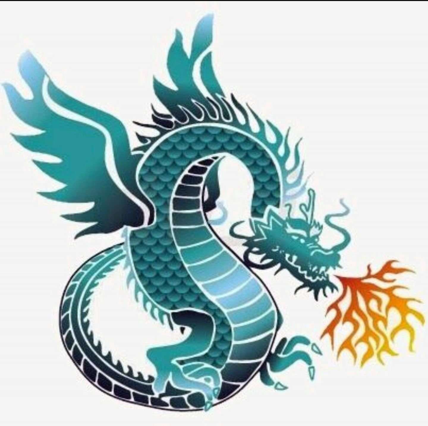 Canberra Griffins Dragon Boat Club logo
