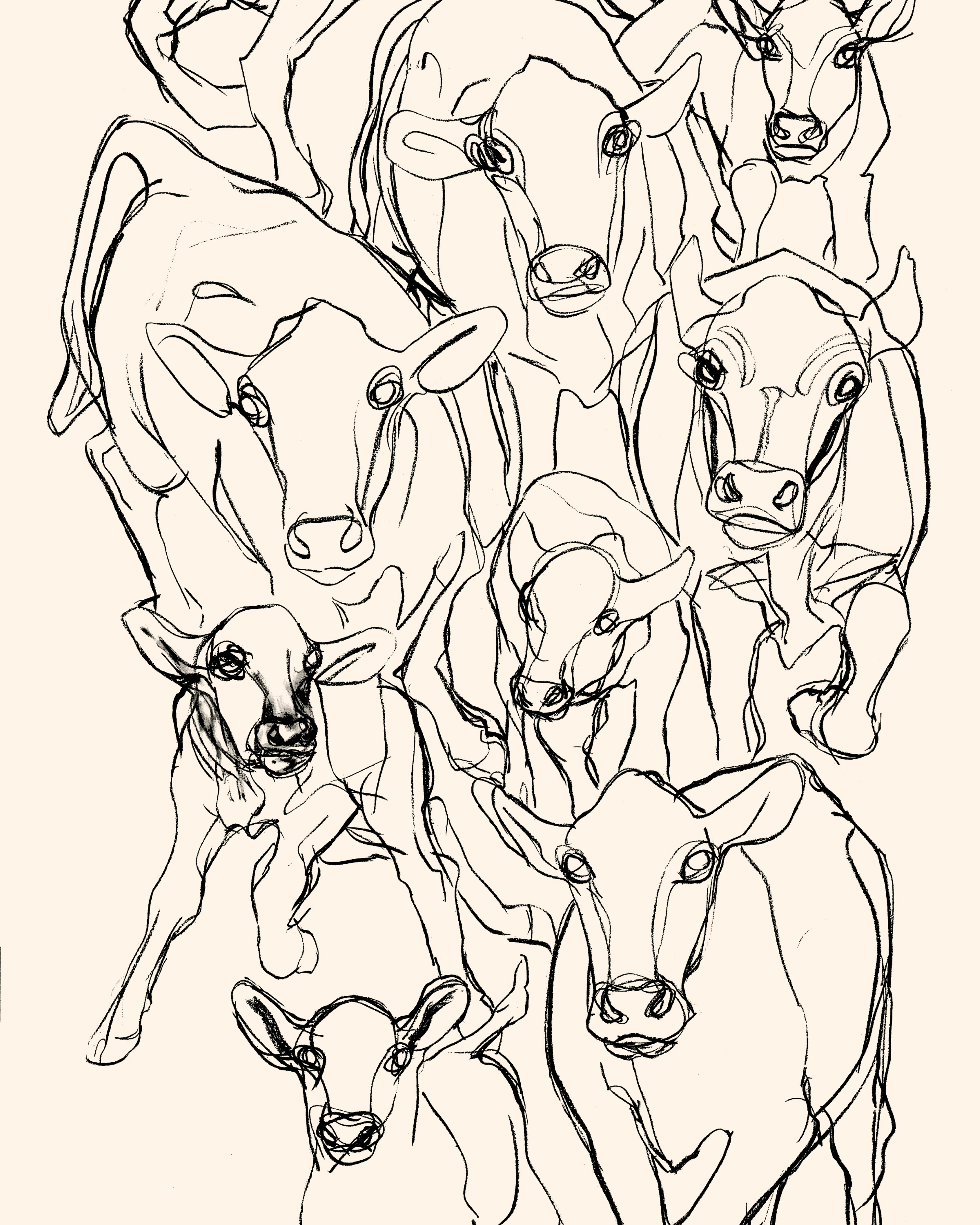 Kevätjuhla Puuvillakangas