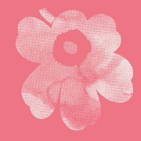 rose, off white