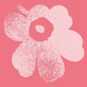 rose, light pink