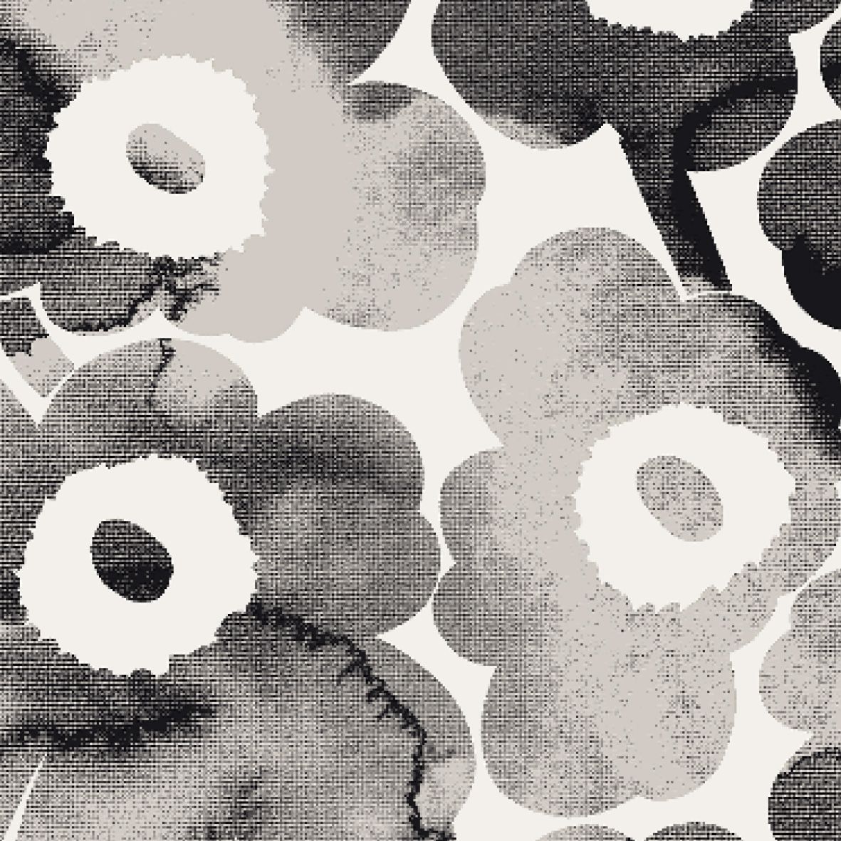 off white, grey, black