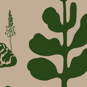 terra, green