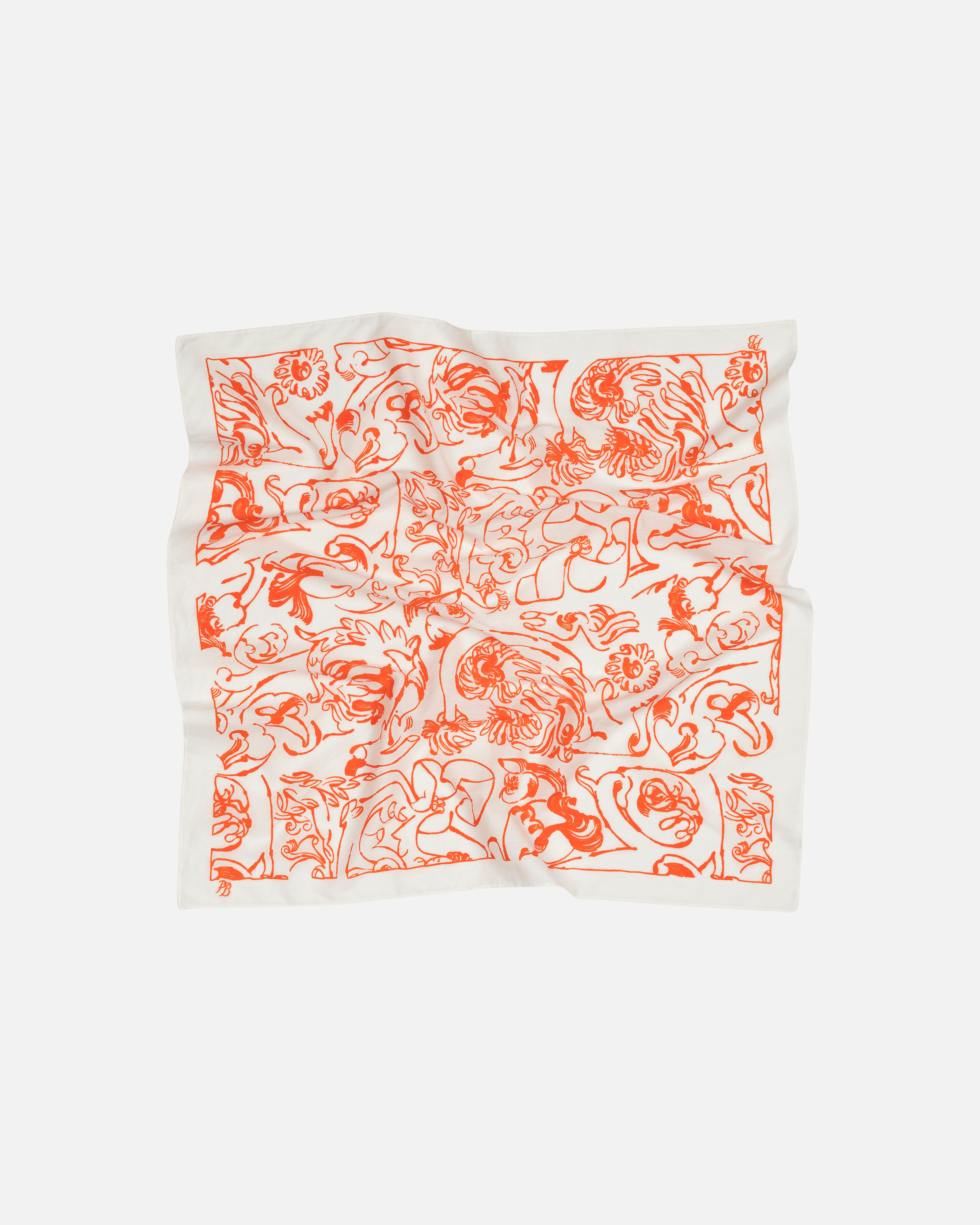 Lieriö Cactis Scarf