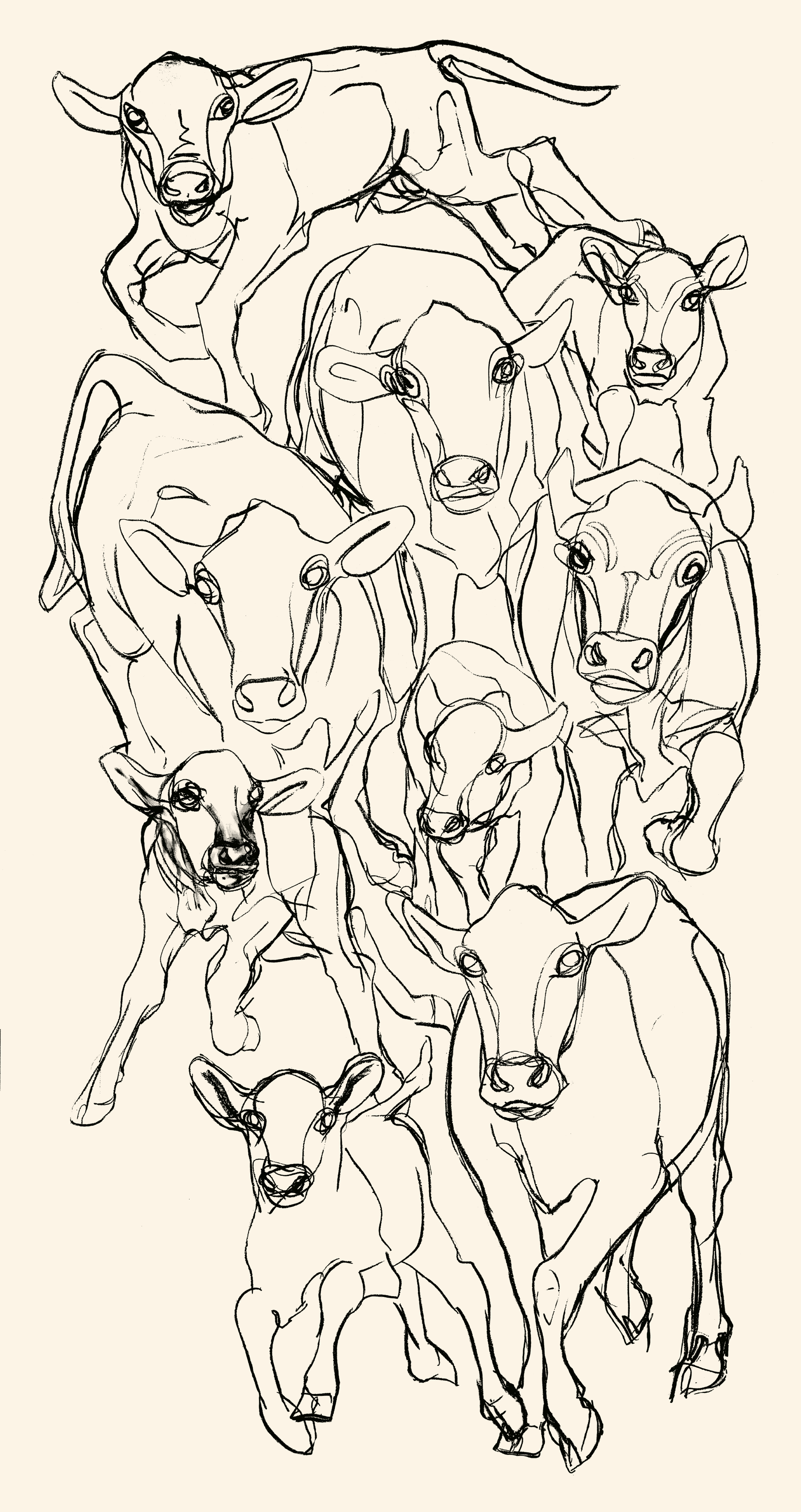 Kevätjuhla, Puuvillakangas, puuvilla, hiili,