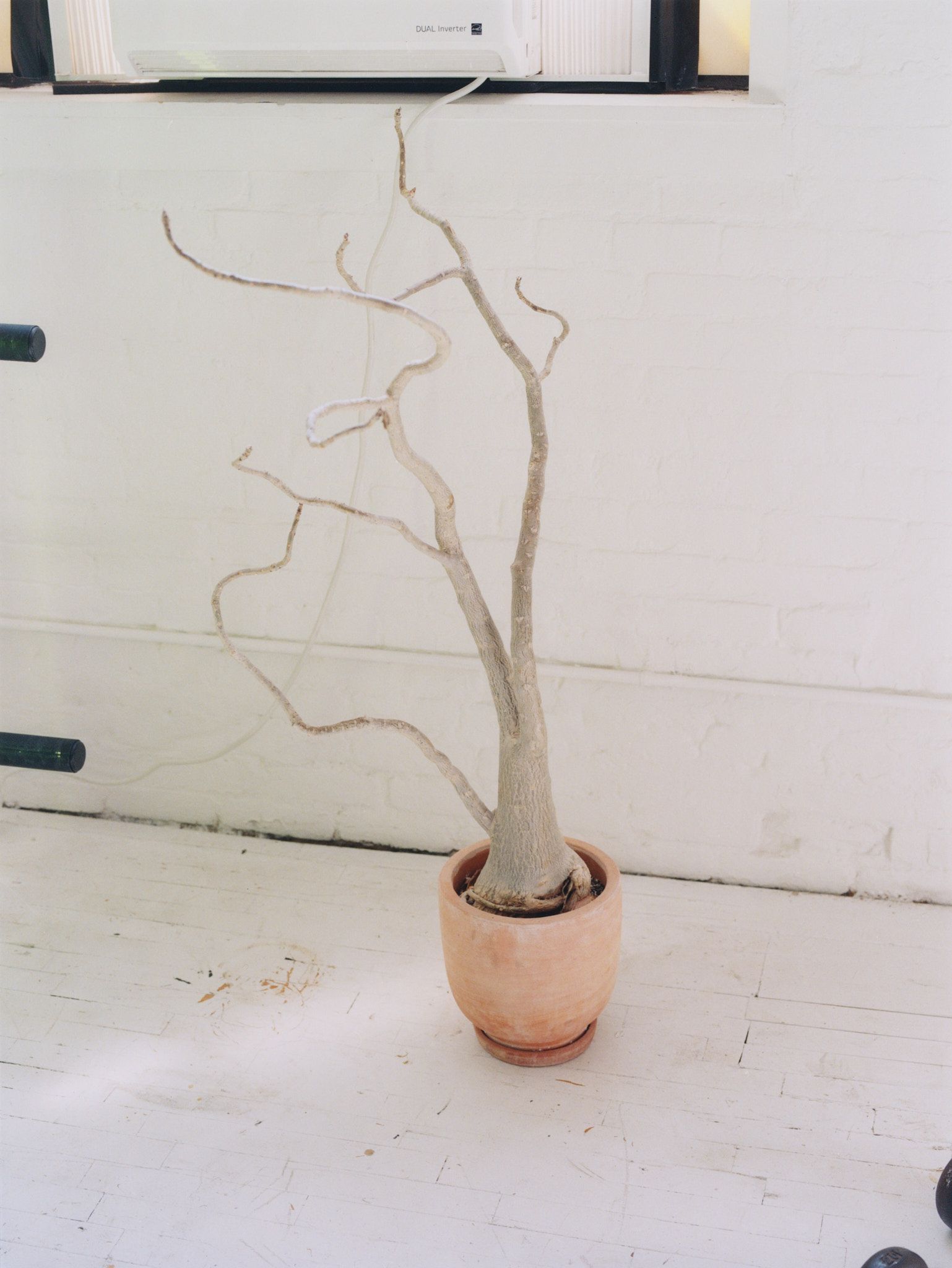 A close-up of a flower pot in Landon Metz&#x27;s studio.