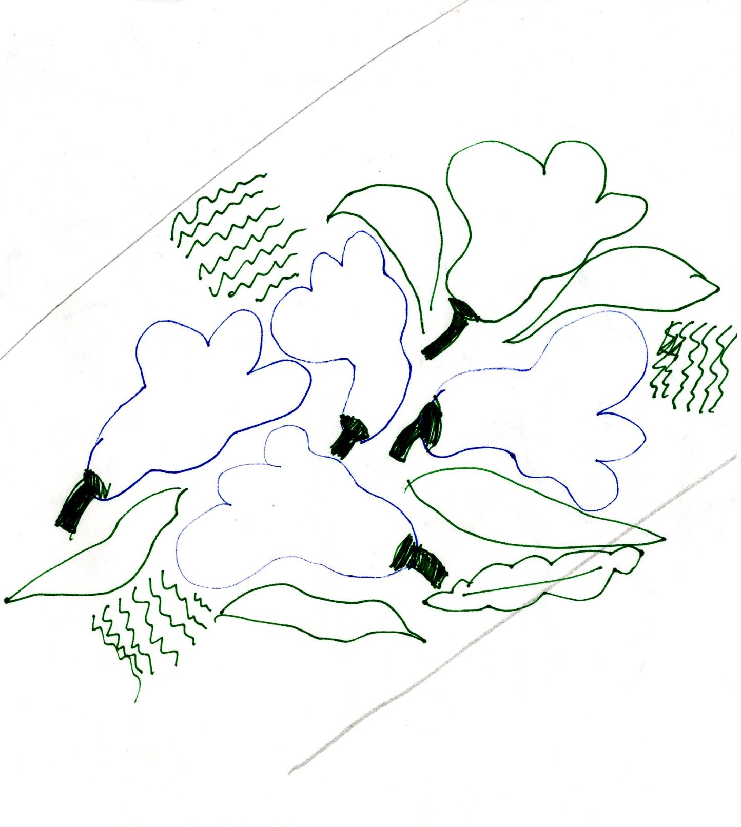 Kukasta kukkaan sketch