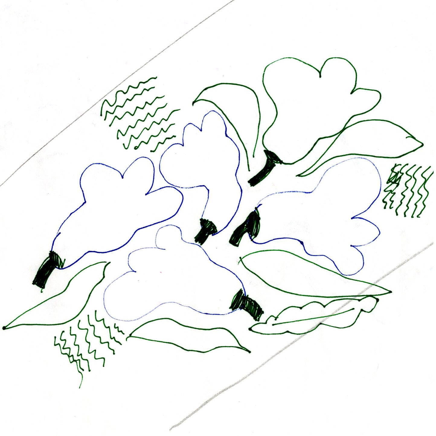 Kukasta kukkaan sketch