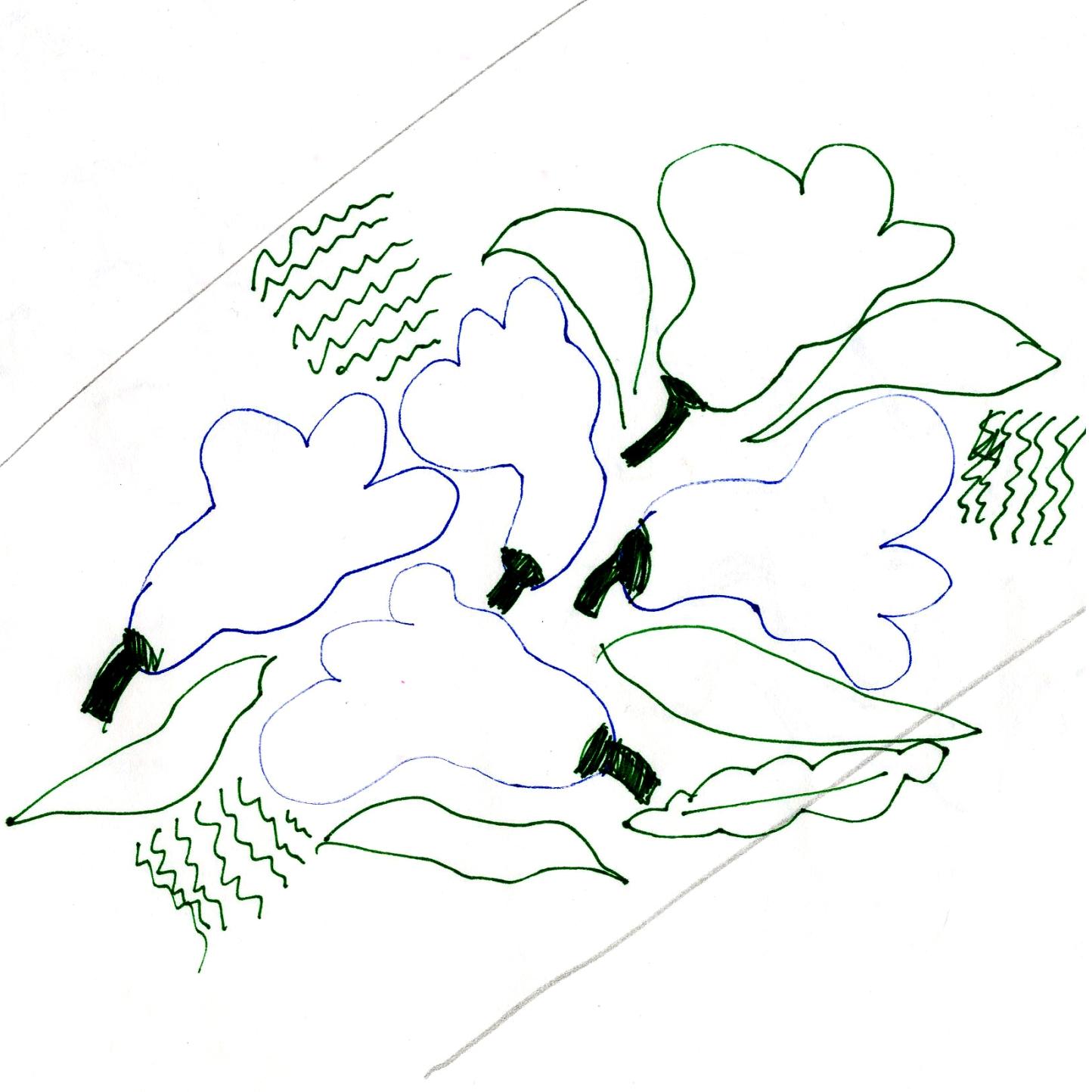 Croquis Kukasta kukkaan