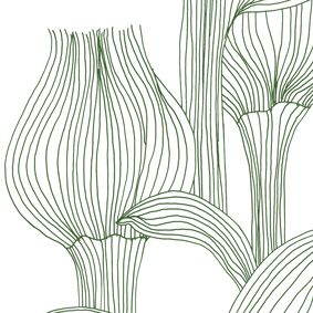 white, forest green