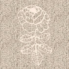 beige, blanc cassé