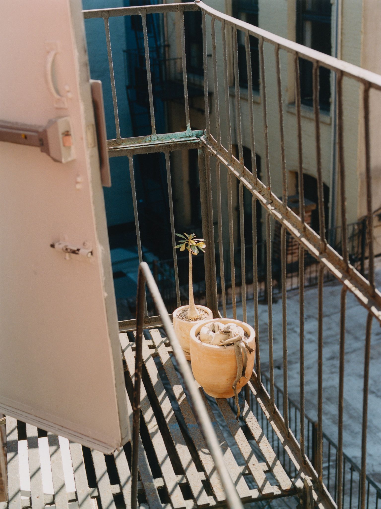 Landon Metz&#x27; studio terrace.