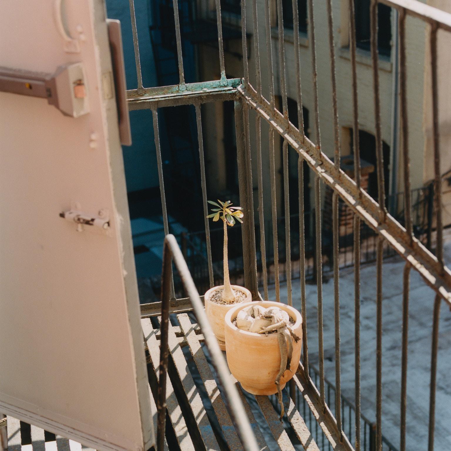 Landon Metz' studio terrace.