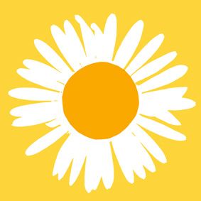 yellow, white, yellow