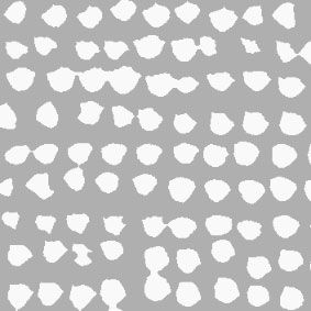 white, grey