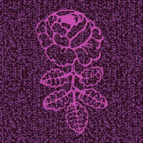 violet foncé, lilas