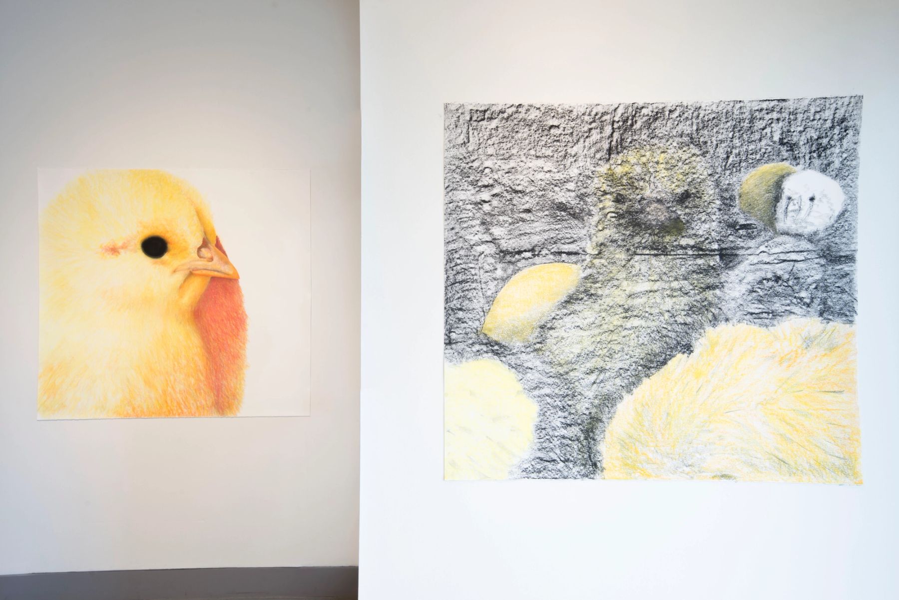 Innocent Production installation view.