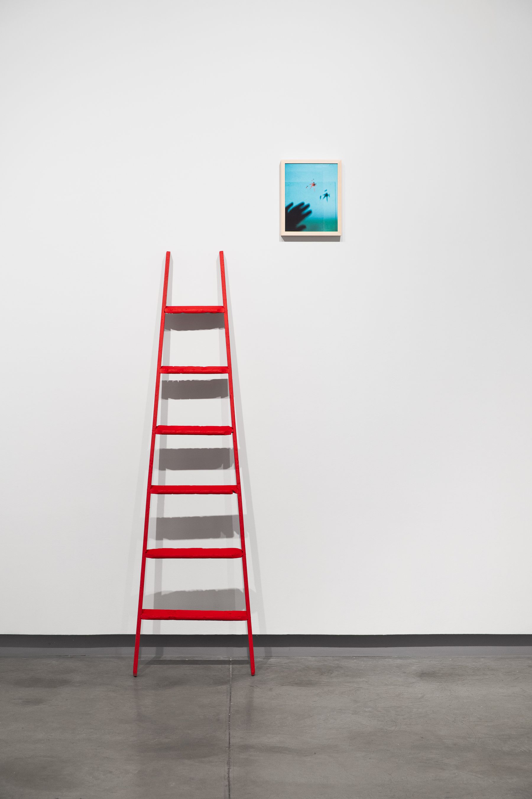 Sheida Soleimani, Safeguard, 2024.