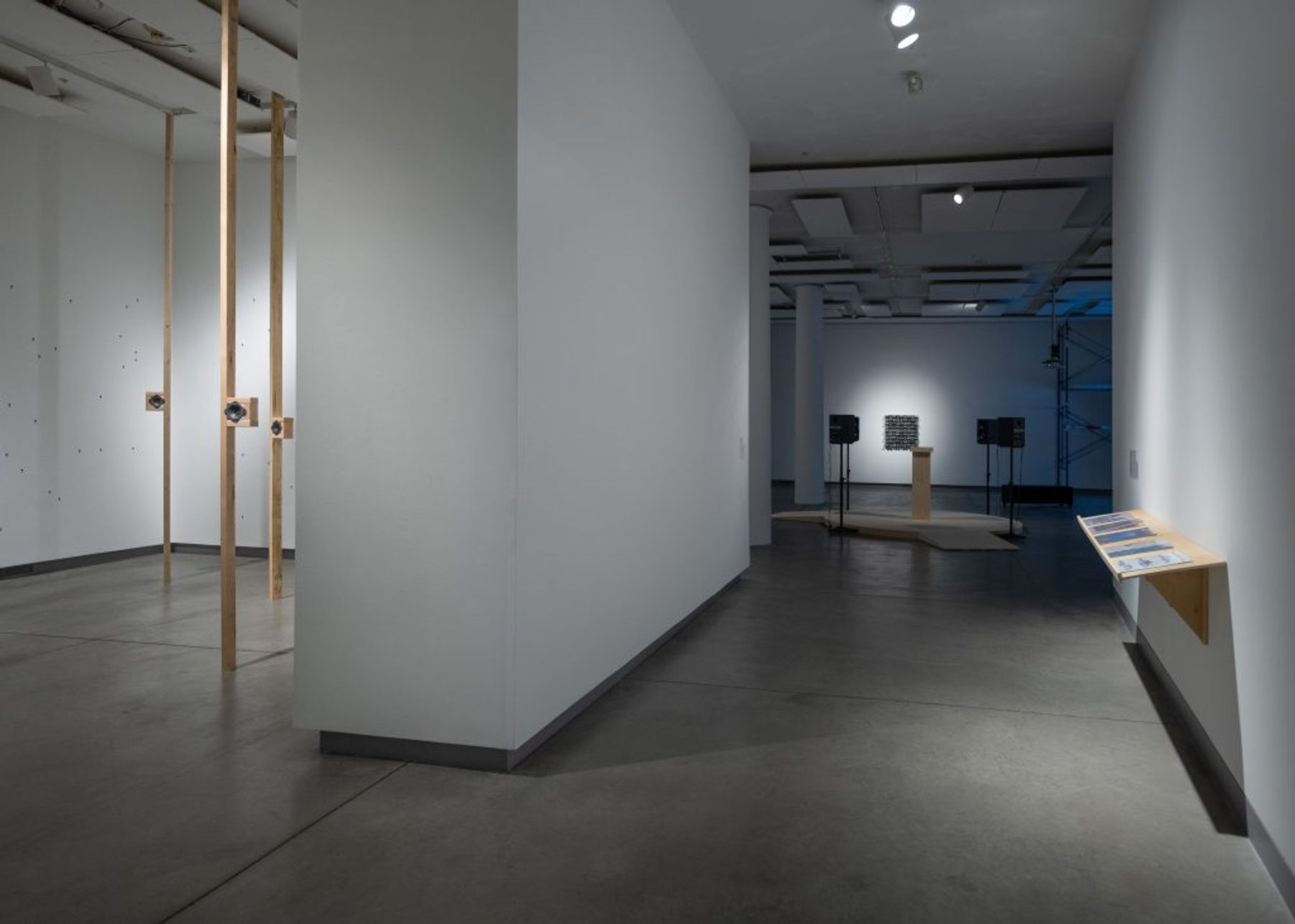 ACOUSTIC RESONANCE installation view.