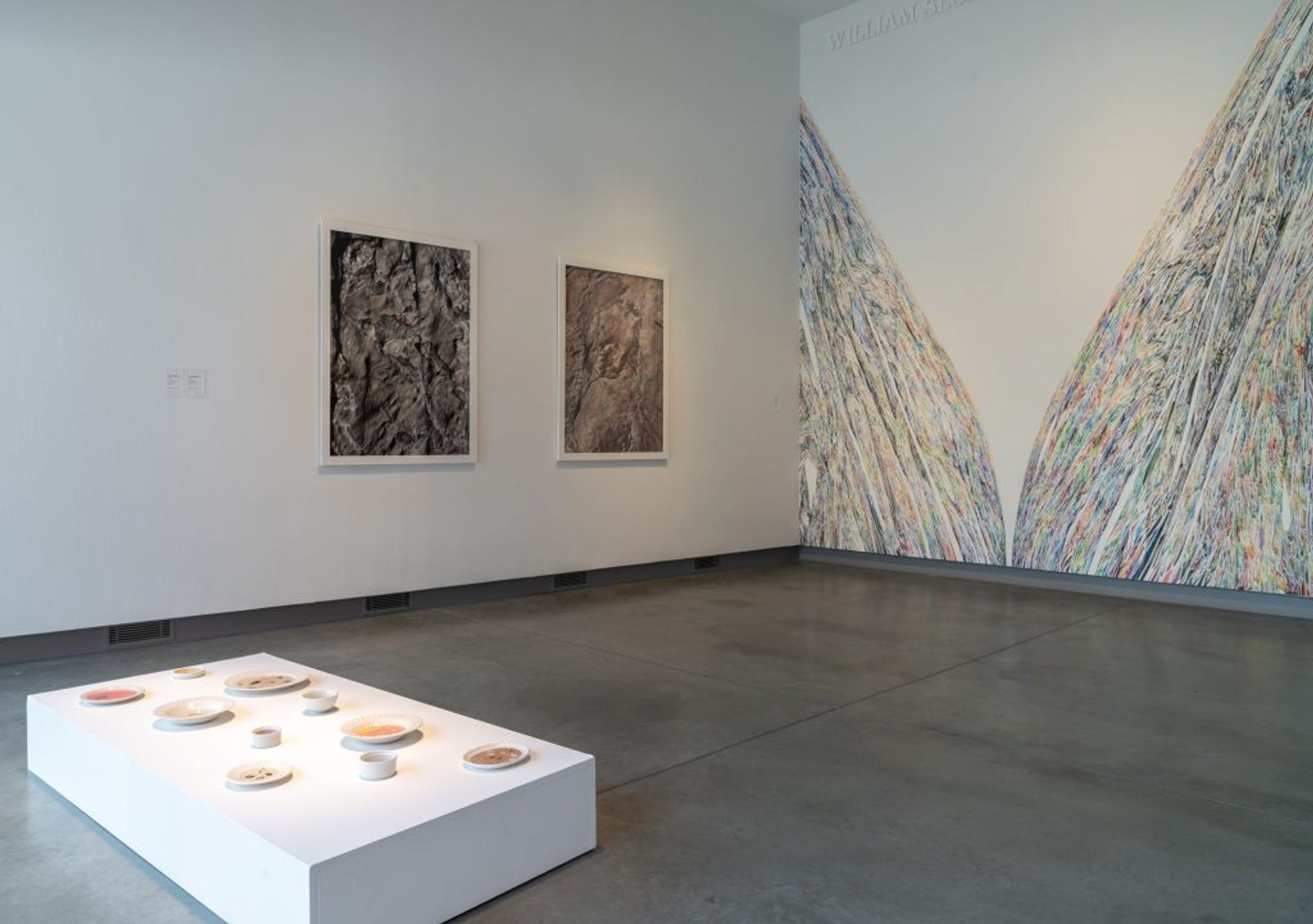 Curious Nature: 2018 Alumni Triennial installation view.