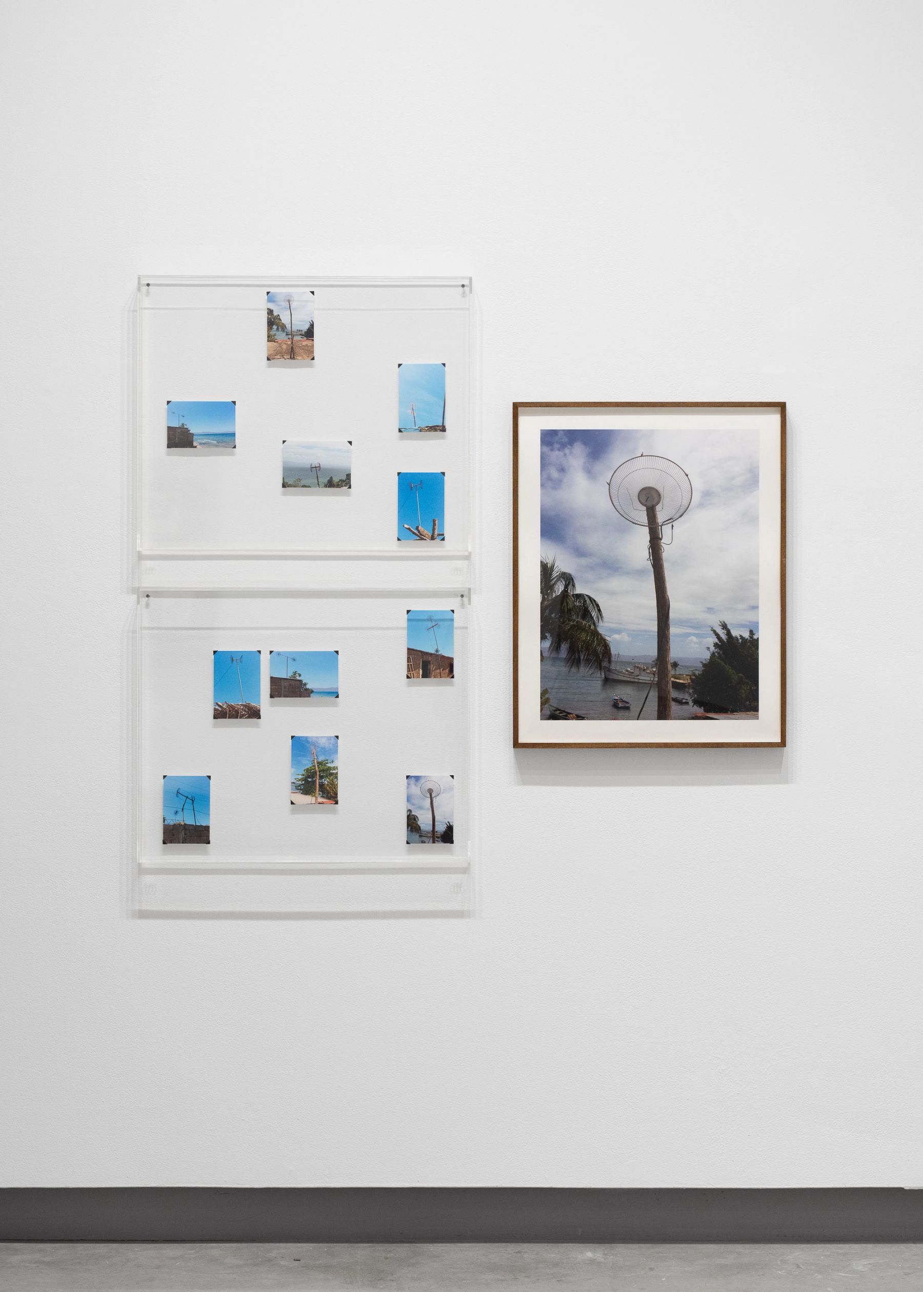 Esperanza Mayobre, (left to right) Duchamp Tropical I, 2026; Duchamp Tropical II, 2026; Antena de Golindano, 2018.