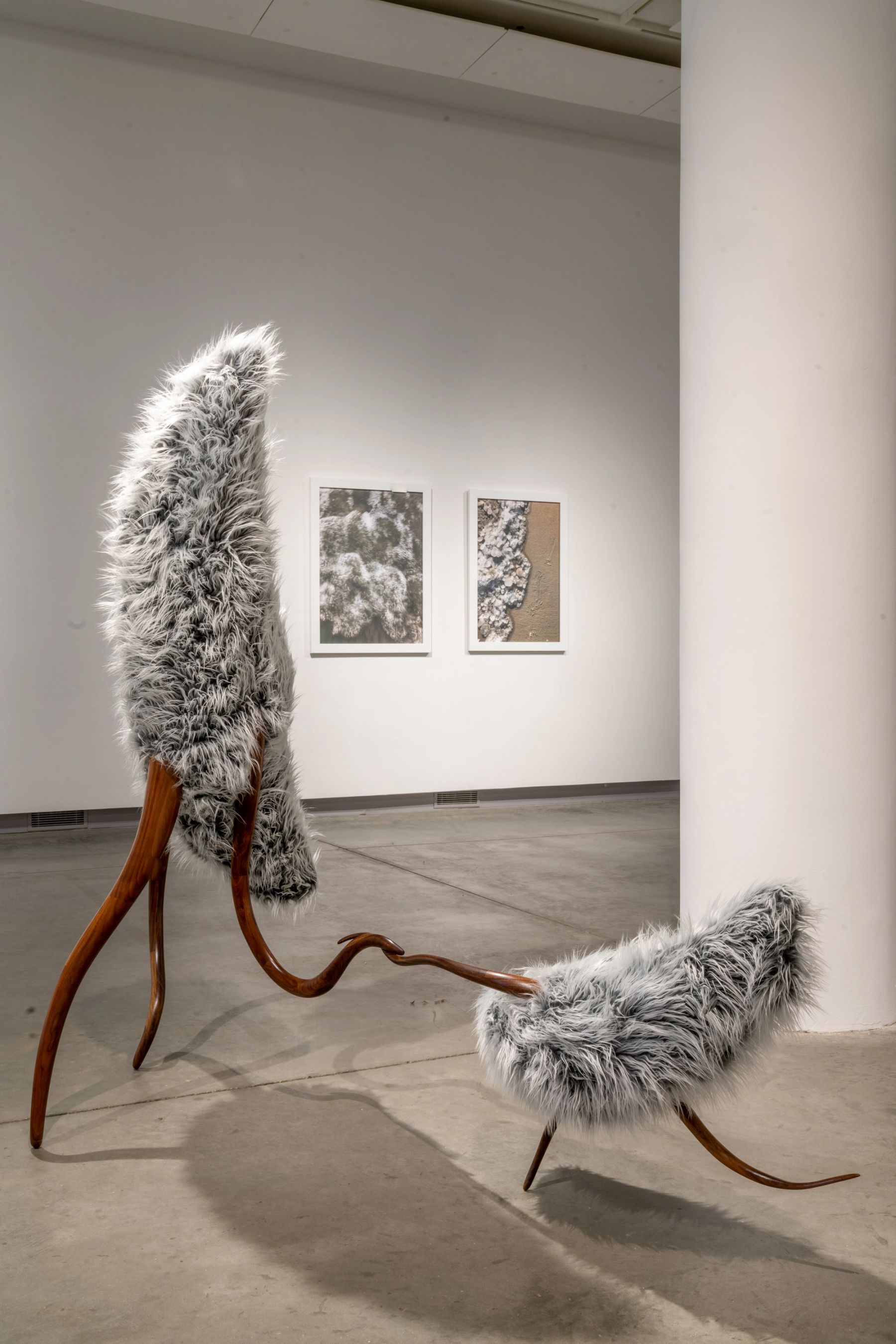 ...to unravel the bind: installation view with works by John P. Gardiner, and Rachel Eleni Somerville.