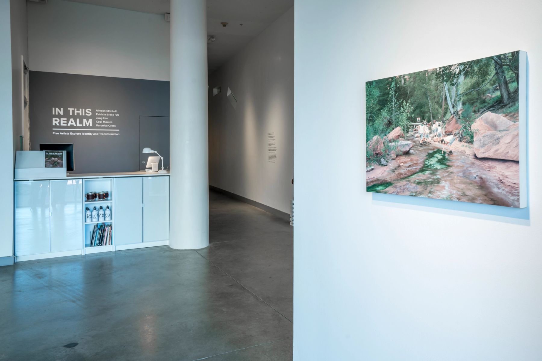 In This Realm installation view.