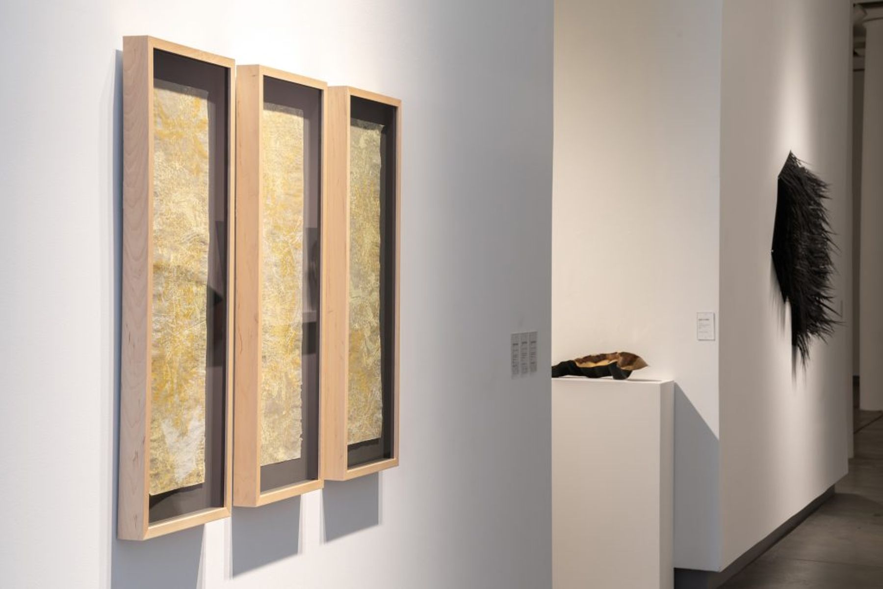 Curious Nature: 2018 Alumni Triennial installation view.