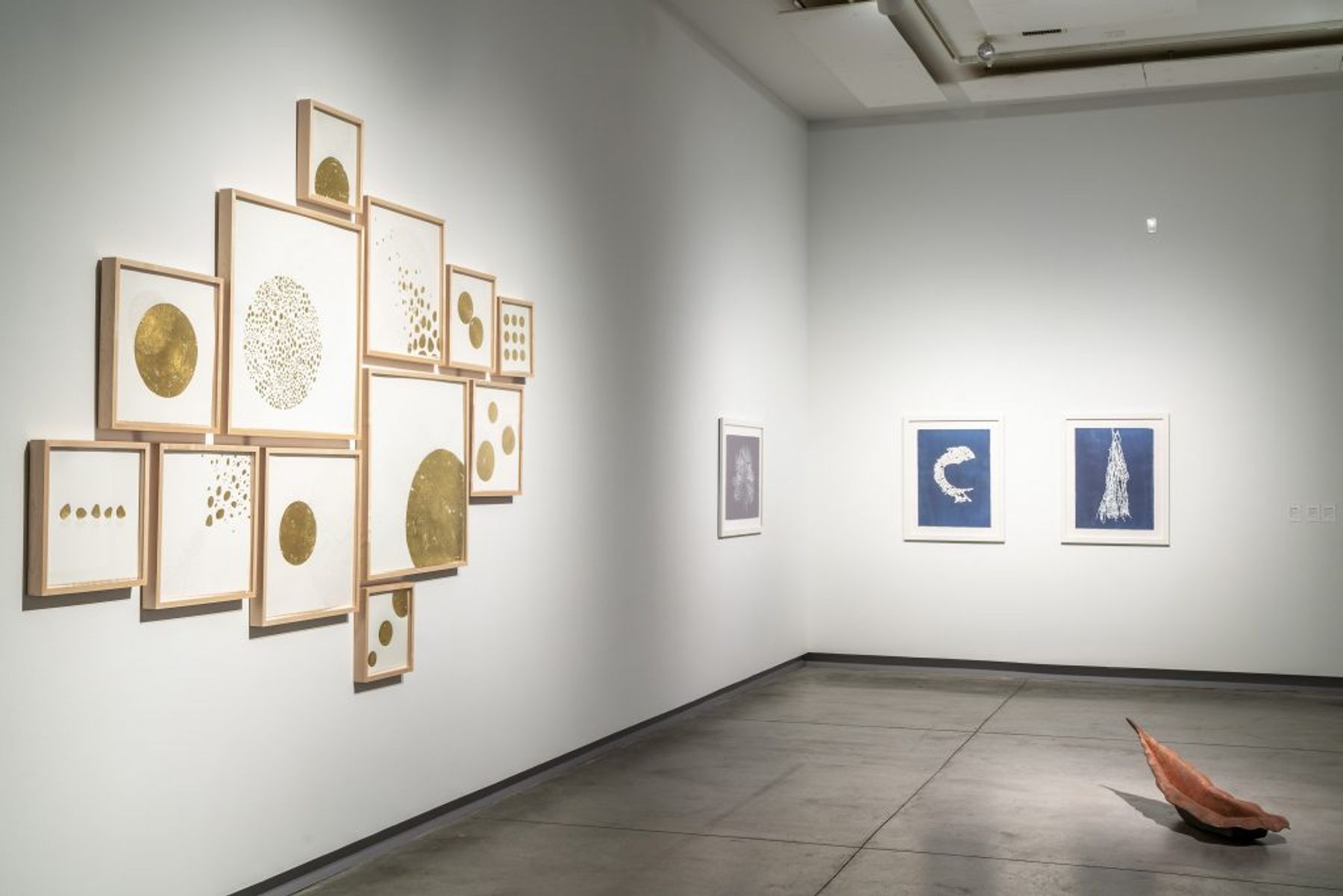Curious Nature: 2018 Alumni Triennial installation view.