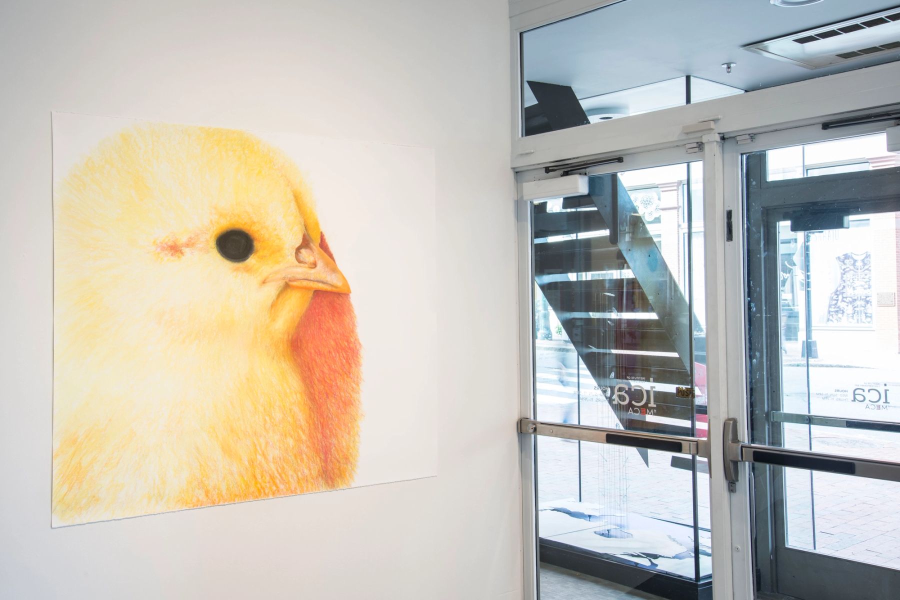 Innocent Production installation view.