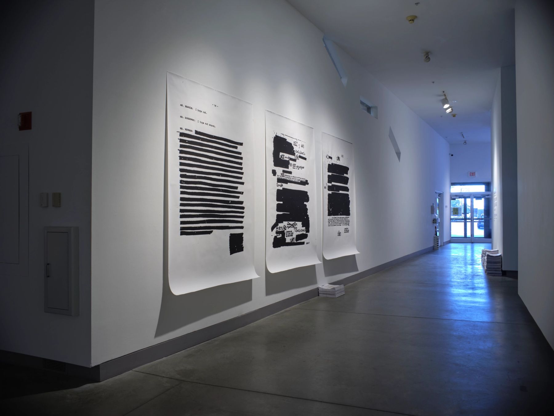 Ann Messner, the free library and other histories, 2018