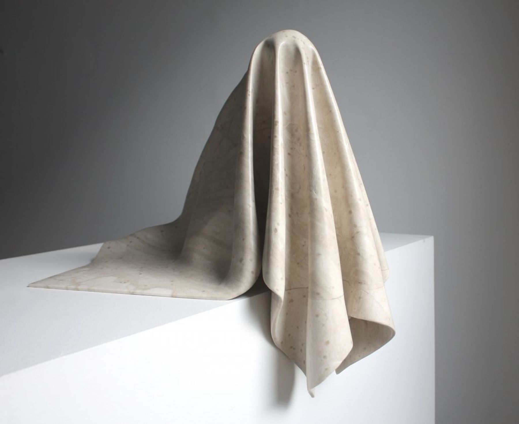 Douglas Goldberg, Microphone, 2010.