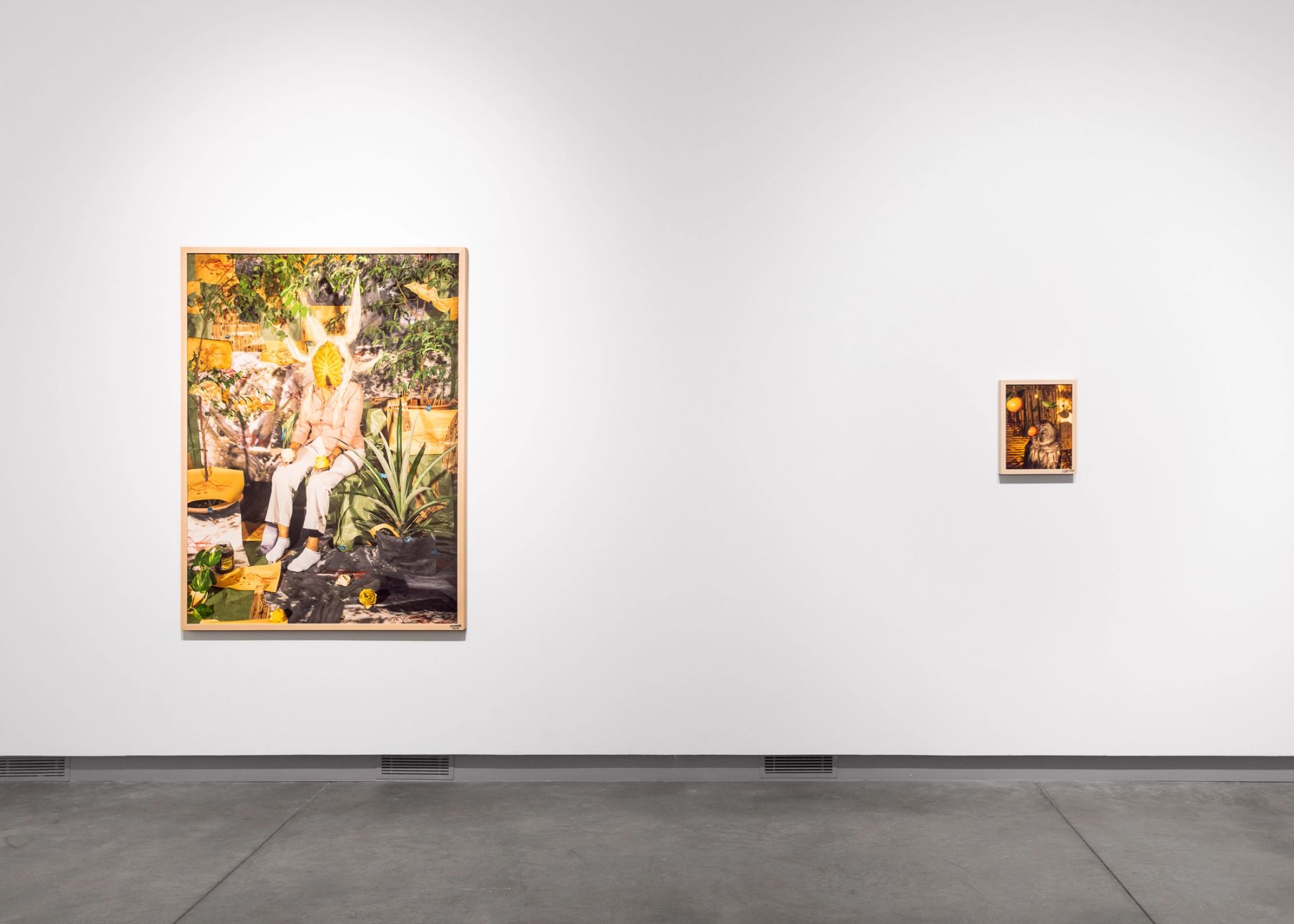 Sheida Soleimani, Panacea, The Blind Owl (left to right).