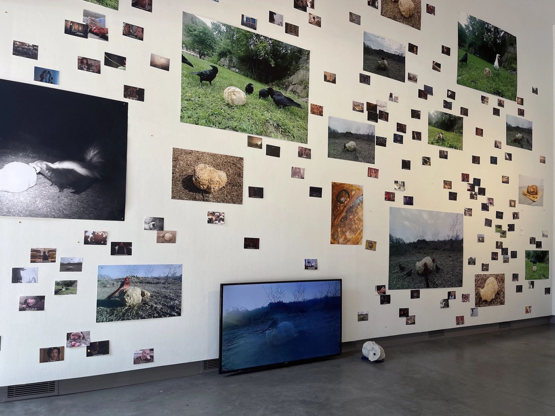 2022 MFA Thesis Exhibition, installation view with work by Anna Cowley Ford.