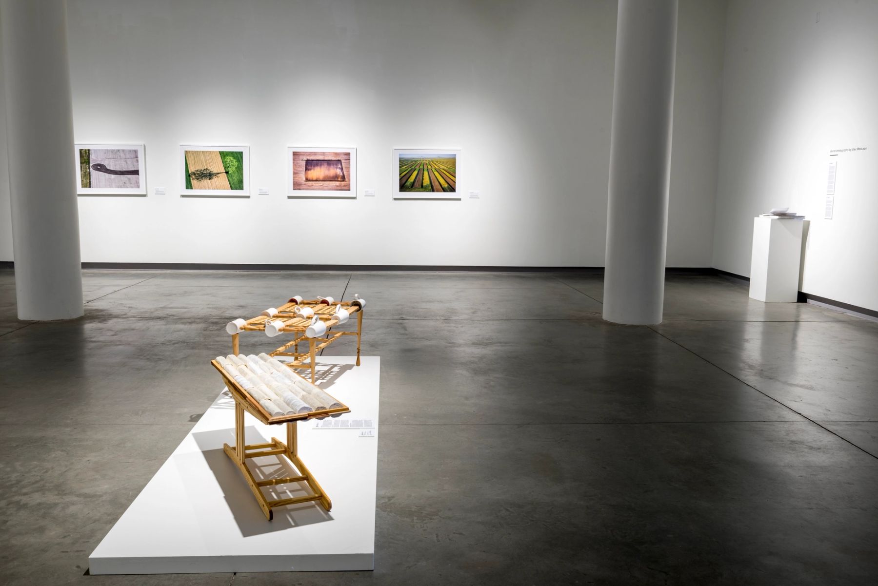 Collective Actions installation view.