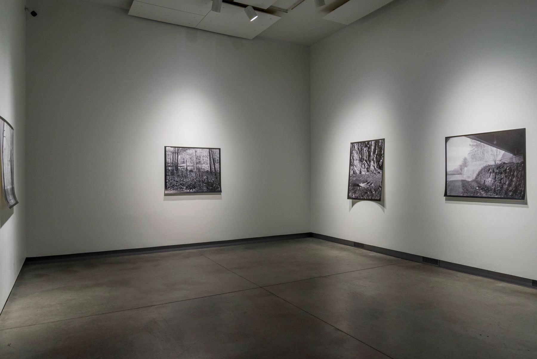 Bounty: 2016 MECA Faculty Biennial installation view.