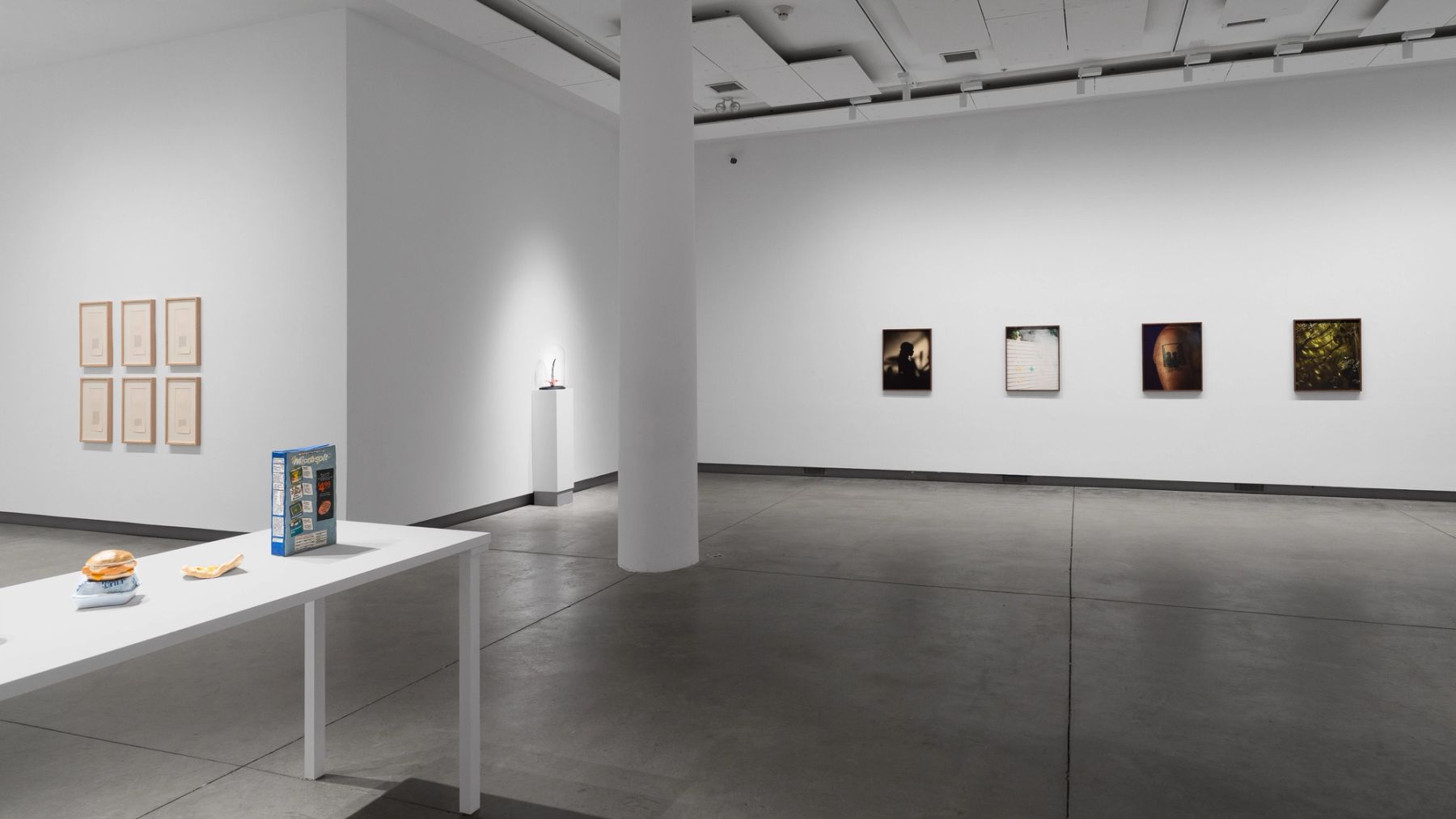 Everyday Is All There Is, installation view with works by Chloë Bass, Stephanie H. Shih, Nina Katchadourian, and Jasmine Clarke.