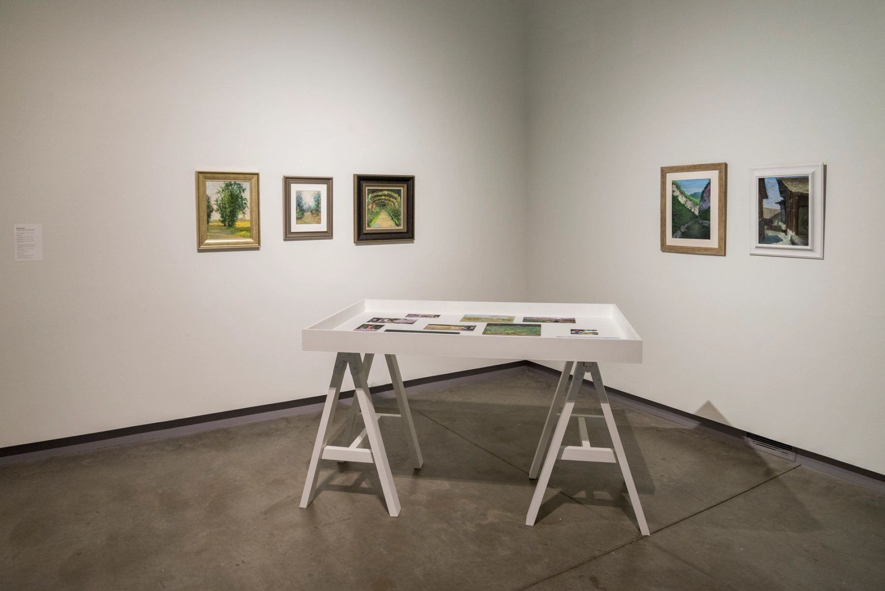 Bounty: 2016 MECA Faculty Biennial installation view.