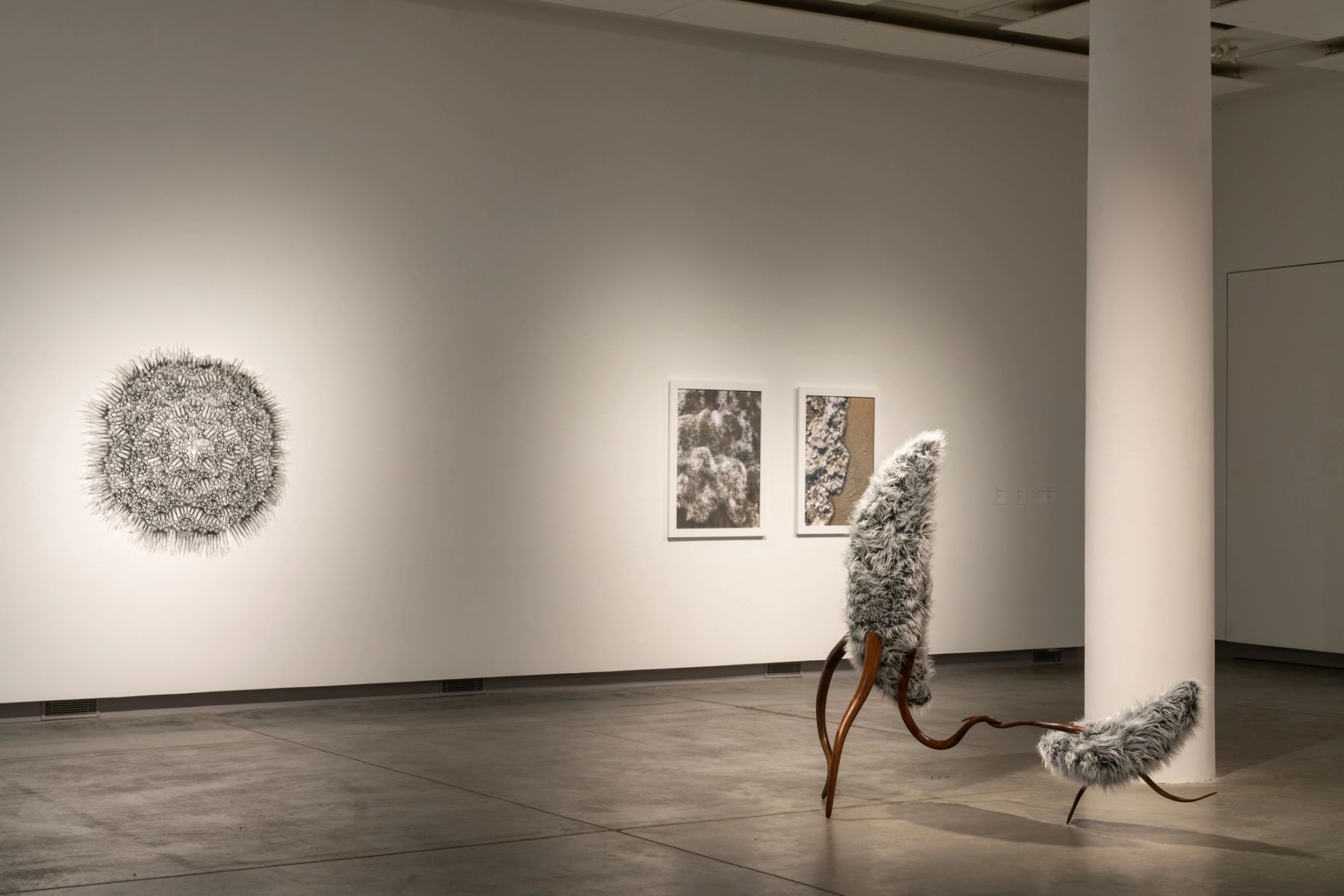 ...to unravel the bind: installation view with works by Annika Earley, Rachel Eleni Somerville, and John P. Gardiner.