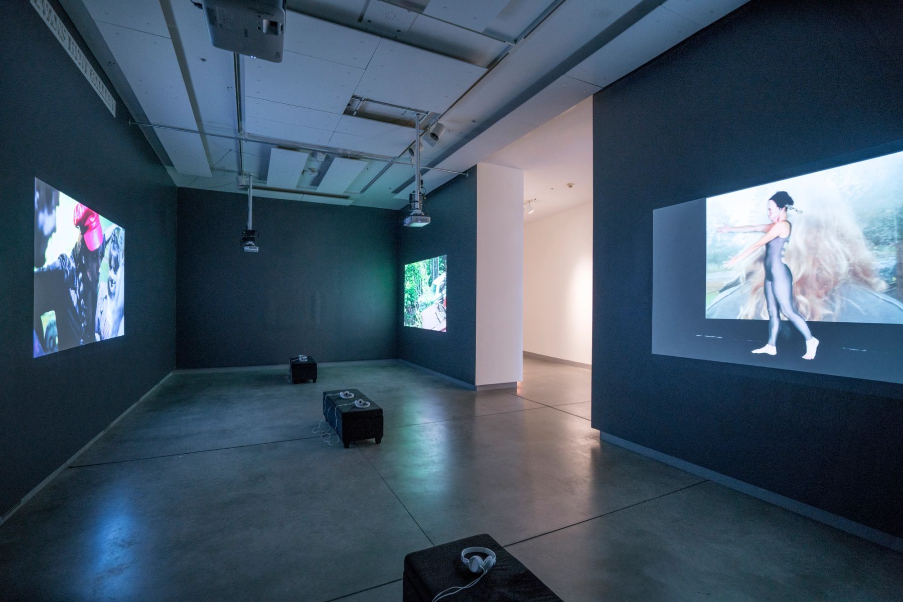 In This Realm installation view.