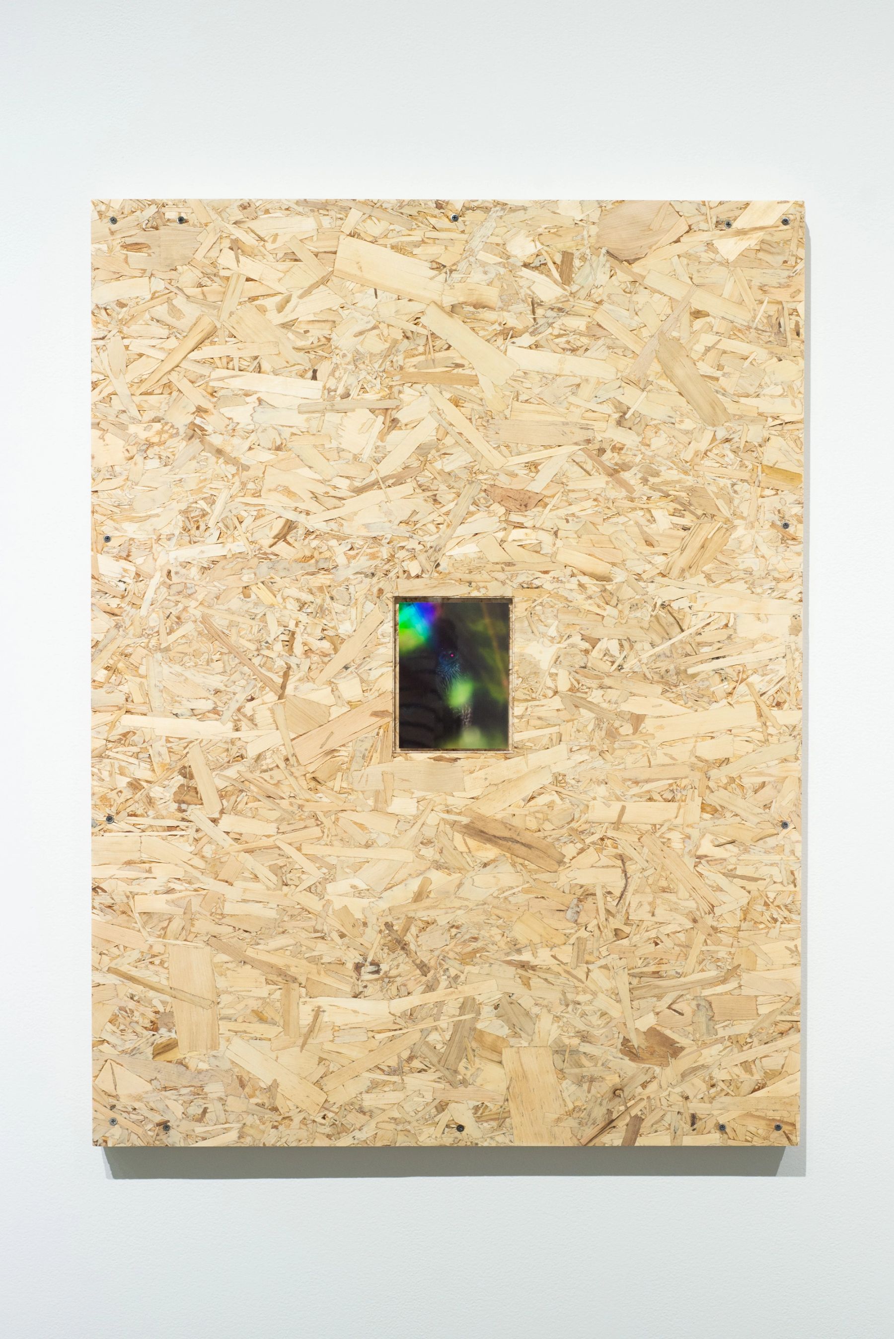 Assembly, installation view with works by Dylan Hausthor '15.