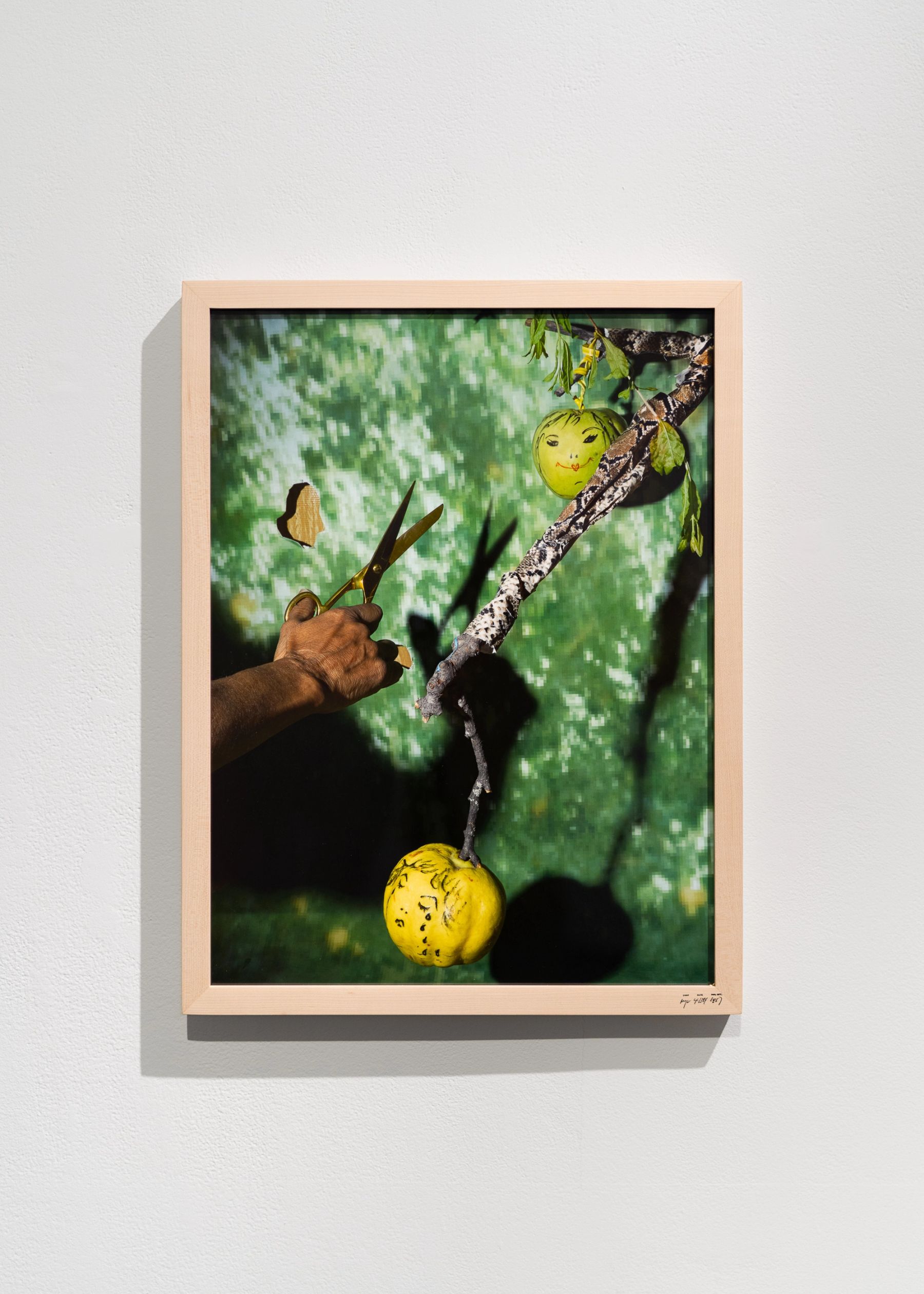 Sheida Soleimani, Laughing Apple, Crying Quince, 2022.