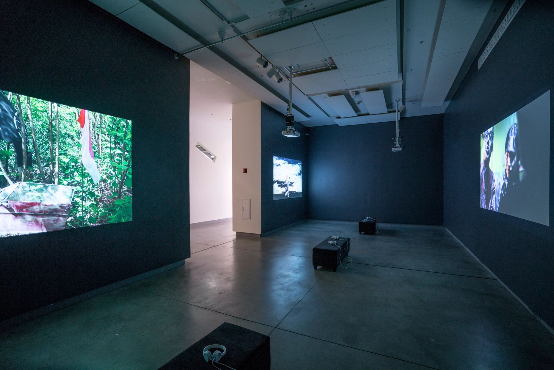 In This Realm installation view.