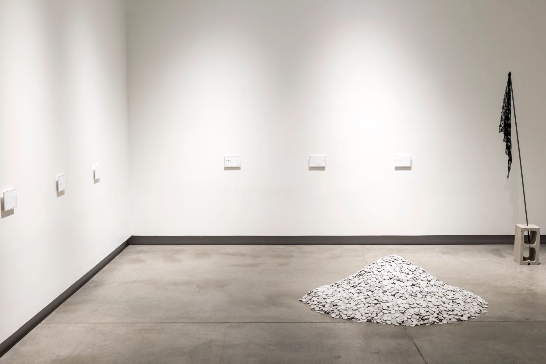 Collective Actions installation view.