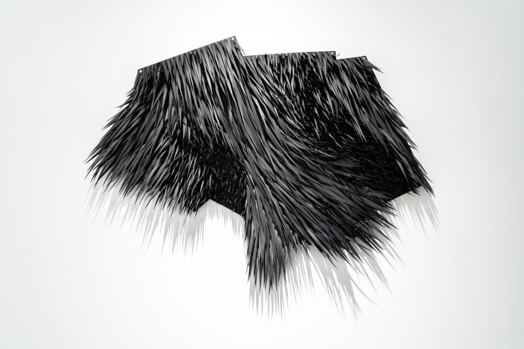 Lenka Konopasek, Disputed Territory, 2018.