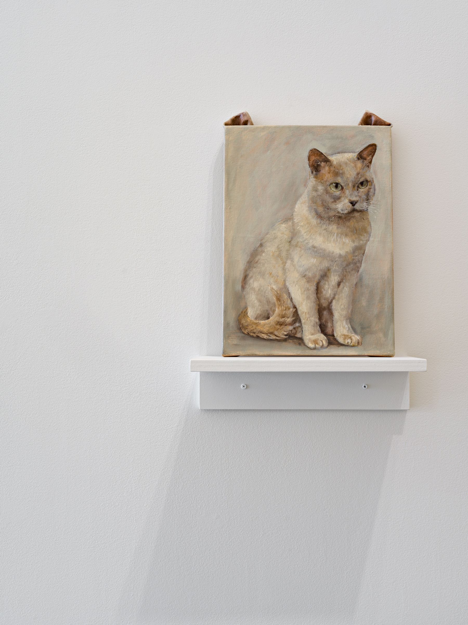 Ryosuke Kumakura, cat, 2017.